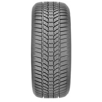 Sava Eskimo HP2 205/55 R16 91H