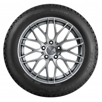 Riken Snow 225/45 R18 95V XL