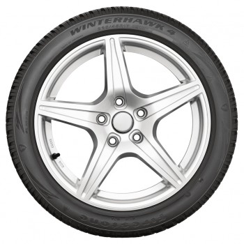 Firestone Winterhawk 4 205/55 R16 91T