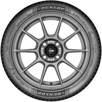 Dunlop All Season 2 205/55 R16 91V Dunlop All Season 2 205/55 R16 91V