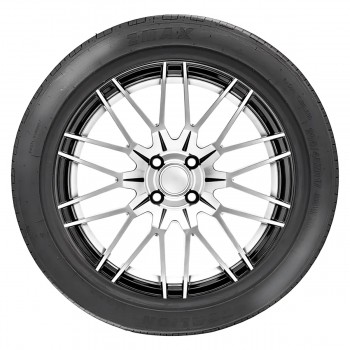 Zmax Zealion 295/40 R21 111W XL