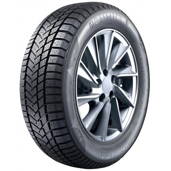 Sunny NW211 245/45 R19 102C