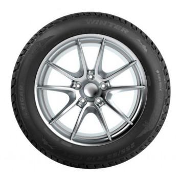 Tigar Winter 215/55 R17